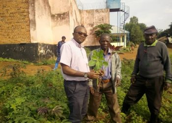 Danny Magadju: ” L’agriculture à la prison de Kabare et Kalehe, une des solutions à la mortalité carcérale”