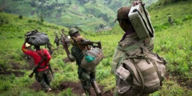 SUD-KIVU : La Communauté Buuma Bwe Batembo sinsurge contre la présence massive des FDLR à Bunyakiri, dans le haut plateau de Kalehe.