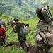 SUD-KIVU : La Communauté Buuma Bwe Batembo sinsurge contre la présence massive des FDLR à Bunyakiri, dans le haut plateau de Kalehe.