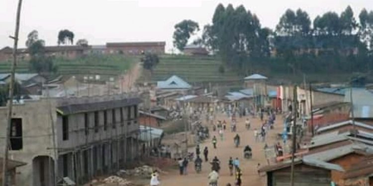 Beni-Isale: Pillage et tentative des viols par les militaires sur la population civile.