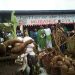 Walungu-Mubande: Vital Kamerhe condamne la dépendance alimentaire du Sud-Kivu.