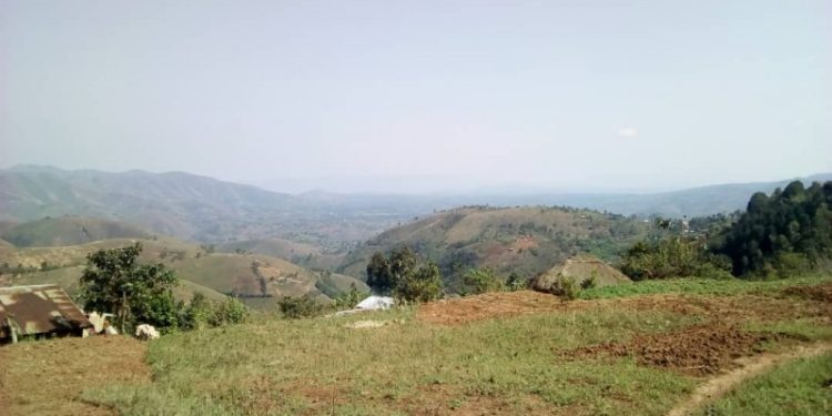 Sud-Kivu-Mwenga: les enfants des dépendants FDLR, une menace sociale et sécuritaire à Burhinyi, alerte le RFDP.