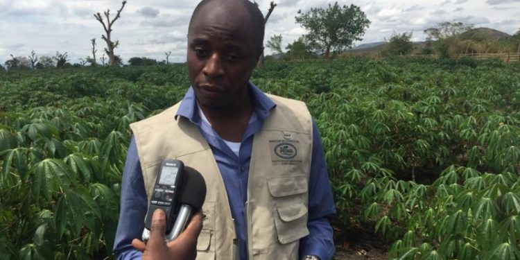 Sud-Kivu-BARAKA : le ministère de lagriculture instaure le weekend agricole, qui sera observé par tout le monde (Marcellin AMANI BAHAYA, ministre).