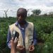 Sud-Kivu-BARAKA : le ministère de lagriculture instaure le weekend agricole, qui sera observé par tout le monde (Marcellin AMANI BAHAYA, ministre).