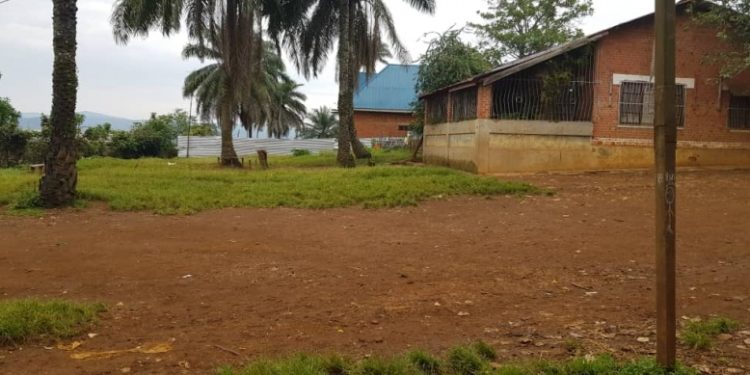 KAMITUGA : La succession KYANGA WASSO Athanase alerte contre la spoliation de sa parcelle de Malupango. (Interview). KAMITUGA : La succession KYANGA WASSO Athanase alerte contre la spoliation de sa parcelle de Malupango. (Interview).