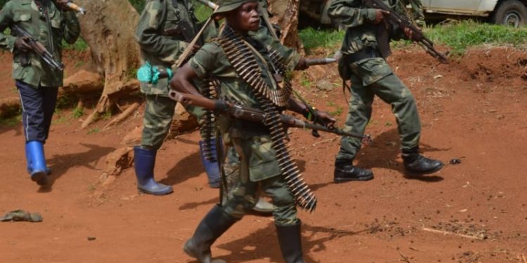 Ituri : 7 personnes tuées et 200 vaches emportées par des miliciens de la FRPI à Murubia