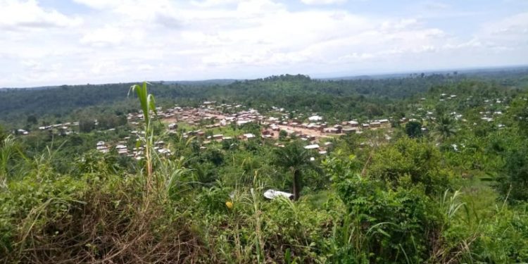 Beni: Une double attaque fait plus de 10 Morts à LIBOKORA secteur de Ruwenzori Beni: Une double attaque fait plus de 10 Morts à LIBOKORA secteur de Ruwenzori