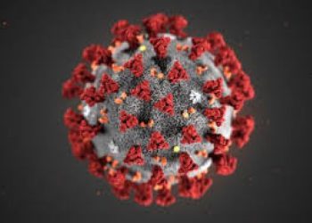 Covid-19 : La RDC dépasse la barre de 27.000 guéris de Coronavirus