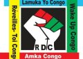 Spoliation des maisons de l’État au Sud-Kivu : Amka Congo s’oppose à la réhabilitation de la chef de division de l’habitat