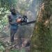 RDC : 234 organisations nationales et internationales invitent le chef de l’État à mettre fin à l’exploitation illégale des aires protégées,