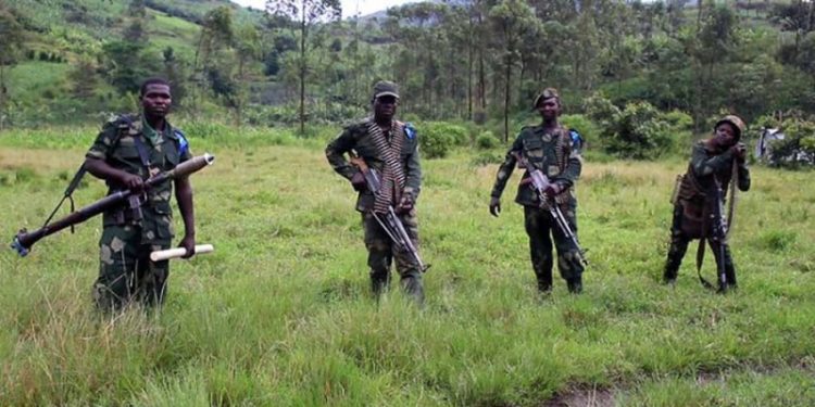 Fizi : Trois militaires tués et deux blessés dans une opération de récupération des vaches des habitants Fizi : Trois militaires tués et deux blessés dans une opération de récupération des vaches des habitants