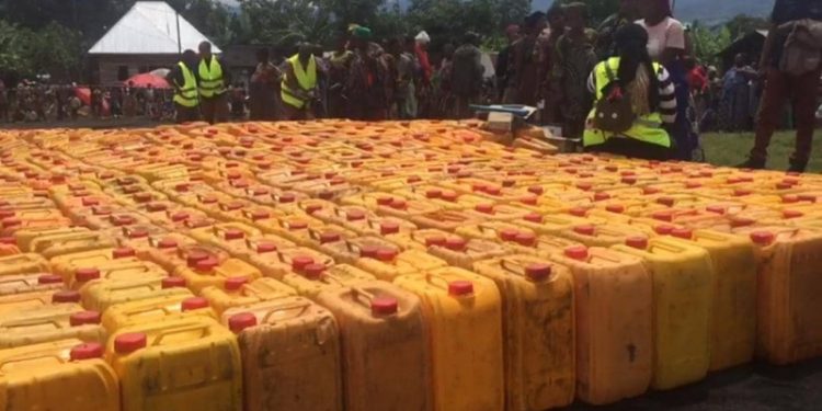 Nord-Kivu : lONG ASDI-RDC au chevet de plus de 500 ménages des déplacés de guerre dans le camp de Nzulo