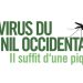 Le virus du Nil occidental fait son apparition au Manitoba : Précautions à prendre pour éviter les piqûres de moustiques