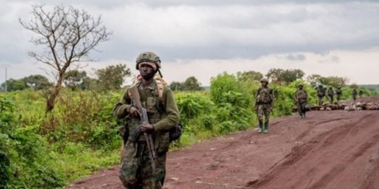 Affrontements violents entre les résistants et les rebelles du M23 dans la région de Rutshuru Affrontements violents entre les résistants et les rebelles du M23 dans la région de Rutshuru