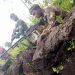 Mushaki : Les jeunes résistants Wazalendo infligent de lourdes pertes au groupe rebelle M23 dans l’est de la RDC