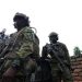 Victoire des FARDC : Chef rebelle ADF et ses gardes neutralisés près de Tingwe
