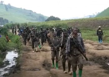 Kalehe : les combats reprennent entre les FARDC et la coalition AFC-M23-RDF après trois semaines d’accalmie