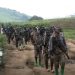 Kalehe : les combats reprennent entre les FARDC et la coalition AFC-M23-RDF après trois semaines d’accalmie