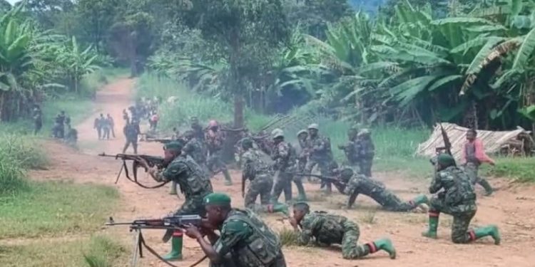 Sud-Kivu : un colonel rwandais tué dans les combats, les Wazalendo reprennent Chambombo et Kazinga