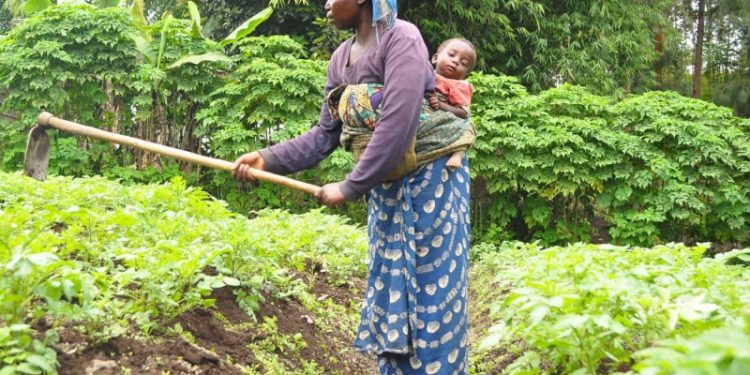Kalehe : les femmes déplacées privées d’accès aux champs à cause de l’insécurité à Ziralo