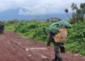 Sud-Kivu : à Kamanyola sous contrôle du M23, les ménages sommés de payer 8 000 FC pour leur « identification » Sud-Kivu : à Kamanyola sous contrôle du M23, les ménages sommés de payer 8 000 FC pour leur « identification »