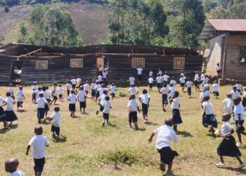 Kalehe : le vent arrache les toitures de plusieurs salles de classe à l’EP Nyamasasa