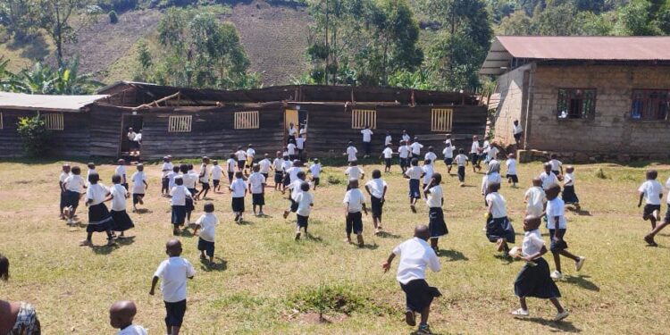 Kalehe : le vent arrache les toitures de plusieurs salles de classe à l’EP Nyamasasa